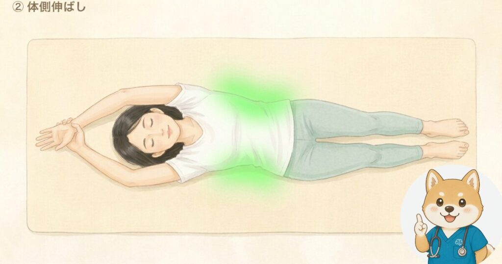 体側伸ばしストレッチのやり方イラスト